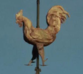 coq