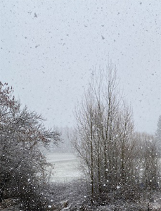 Neigemars