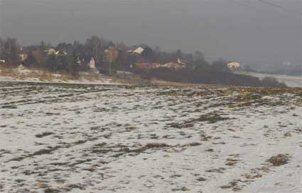Reeberg champ de céréale sous la neige